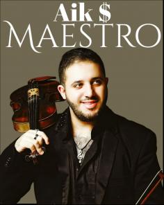 DJ Скрипач Диджей Violin show