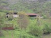 .продаётся ферма НКР.